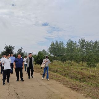 揚州自然資源局和農(nóng)業(yè)農(nóng)村局領(lǐng)導參觀檢查